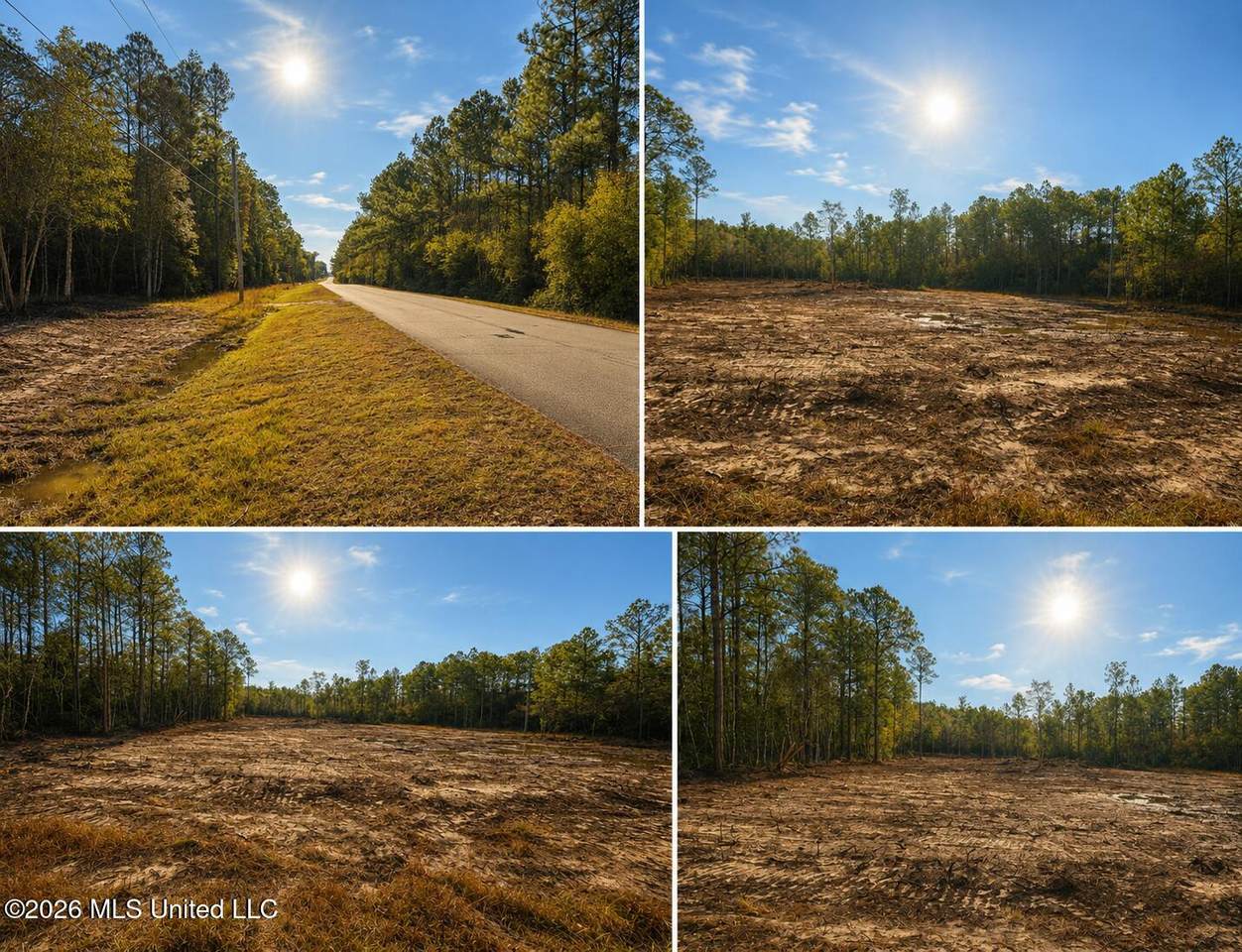 7105 Crazy Horse Drive - Photo 1