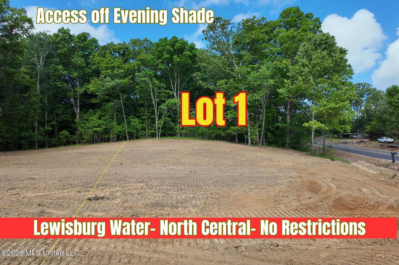  Evening Shade Drive - Photo 1