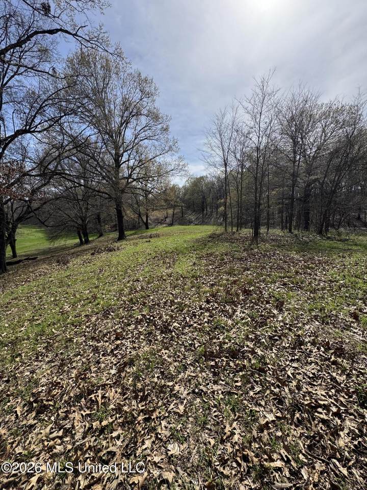 0 Green River Road - Photo 1