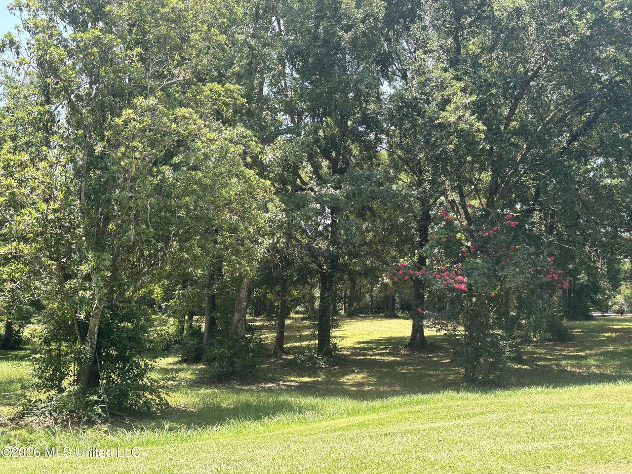 https://bt-photos.global.ssl.fastly.net/united/1280_boomver_2_4138105-2.jpg