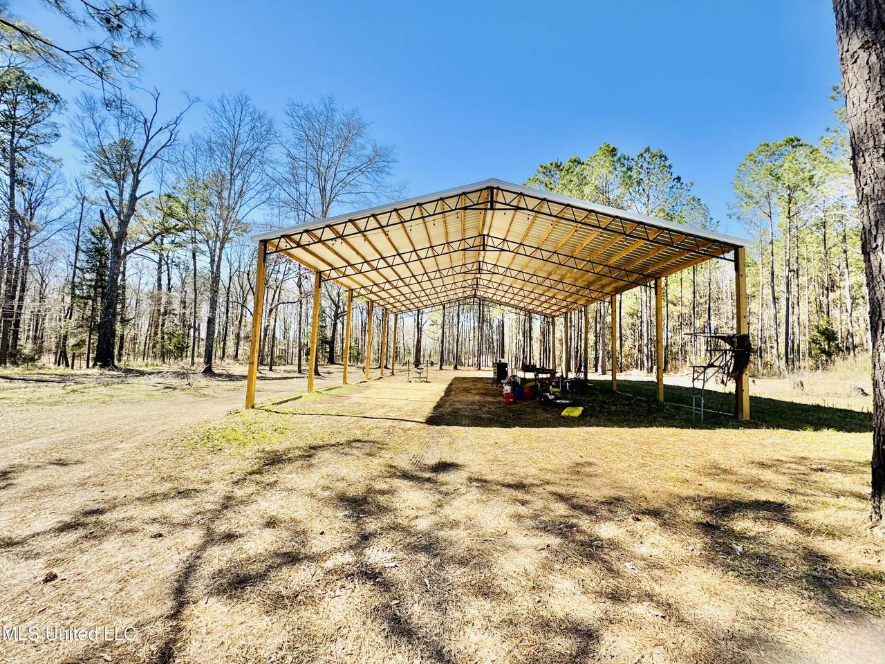 104 Mamie Mangum Road - Photo 1