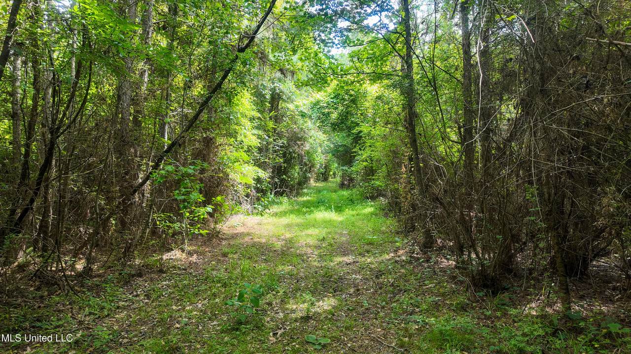  Mississippi 570 - Photo 1