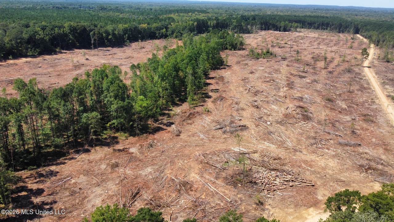 6 Cut Off Road - Photo 1