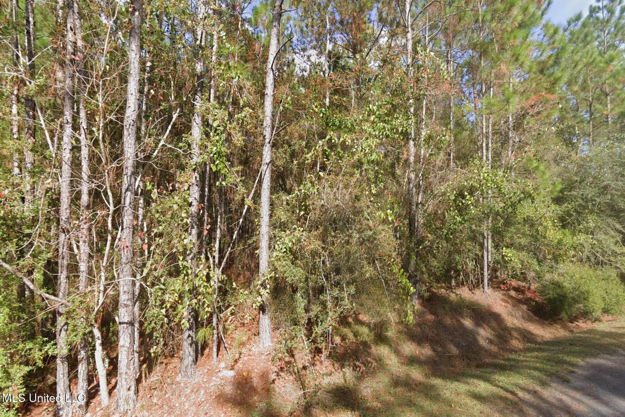  Cedar Drive - Photo 1