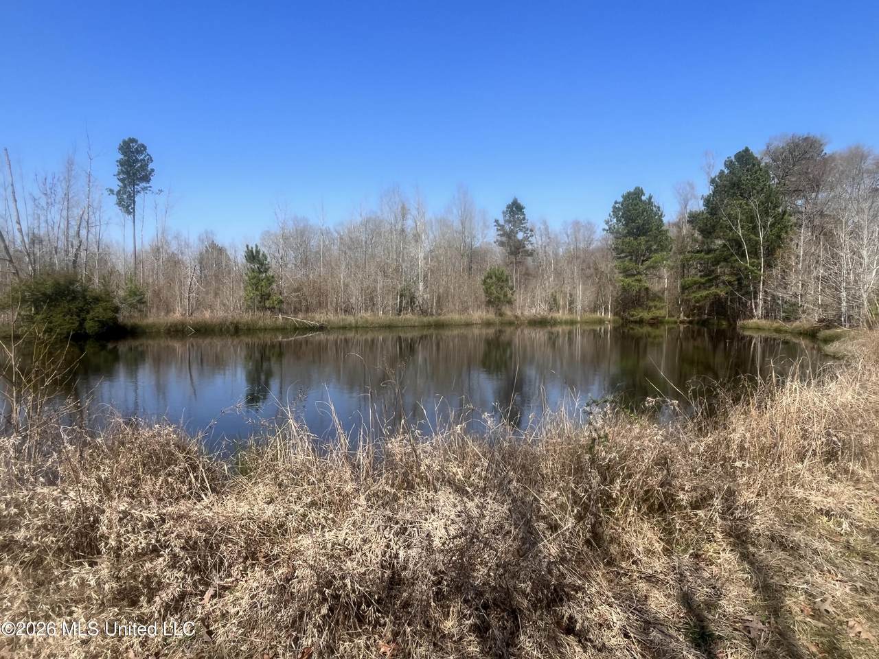 2104 Us-51 - Photo 1