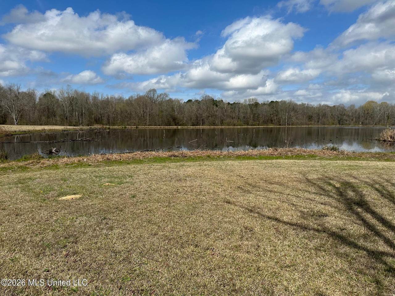 10.2 Acres Barnes Road - Photo 1