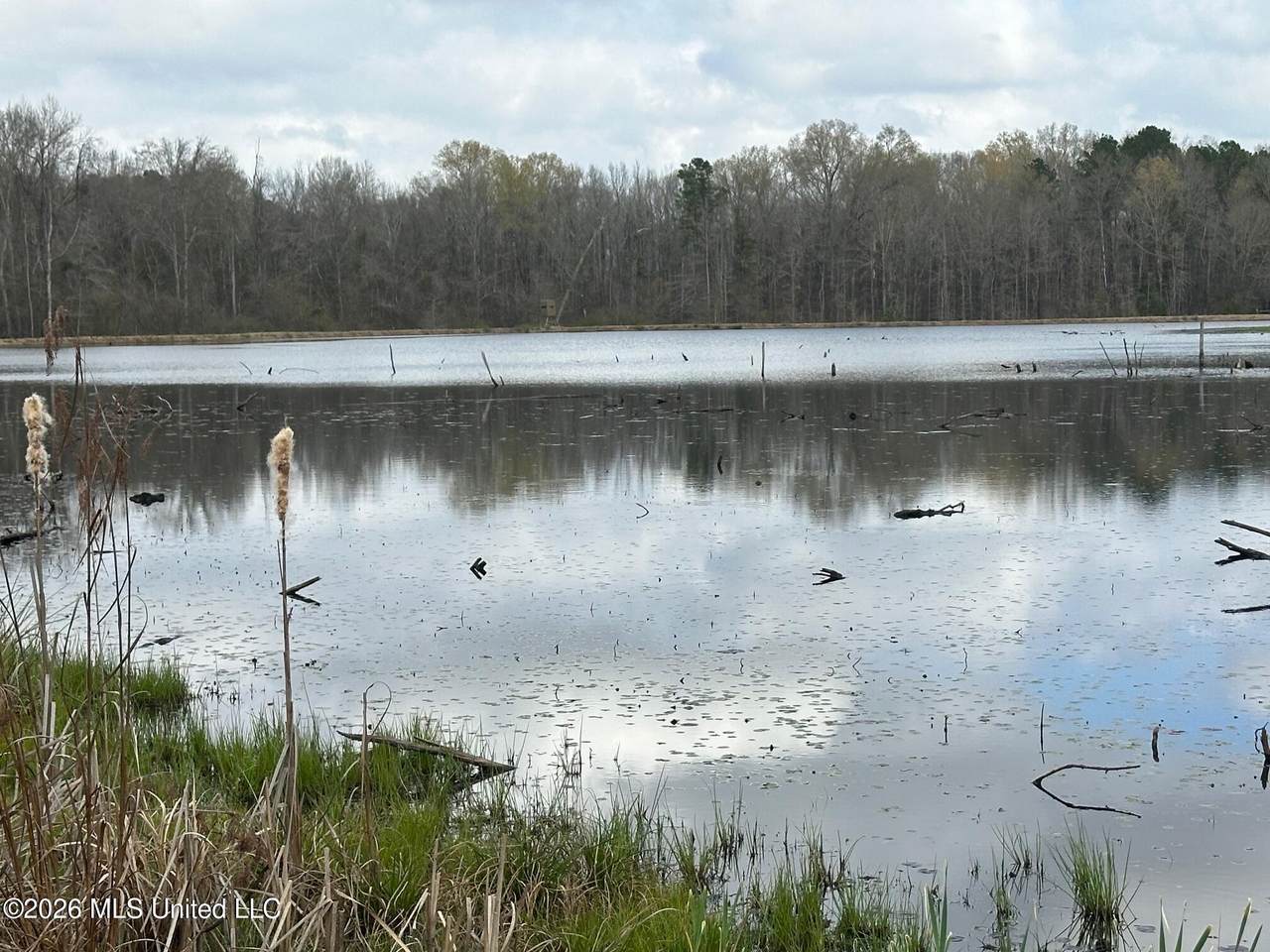 23 Acres Barnes Road - Photo 1