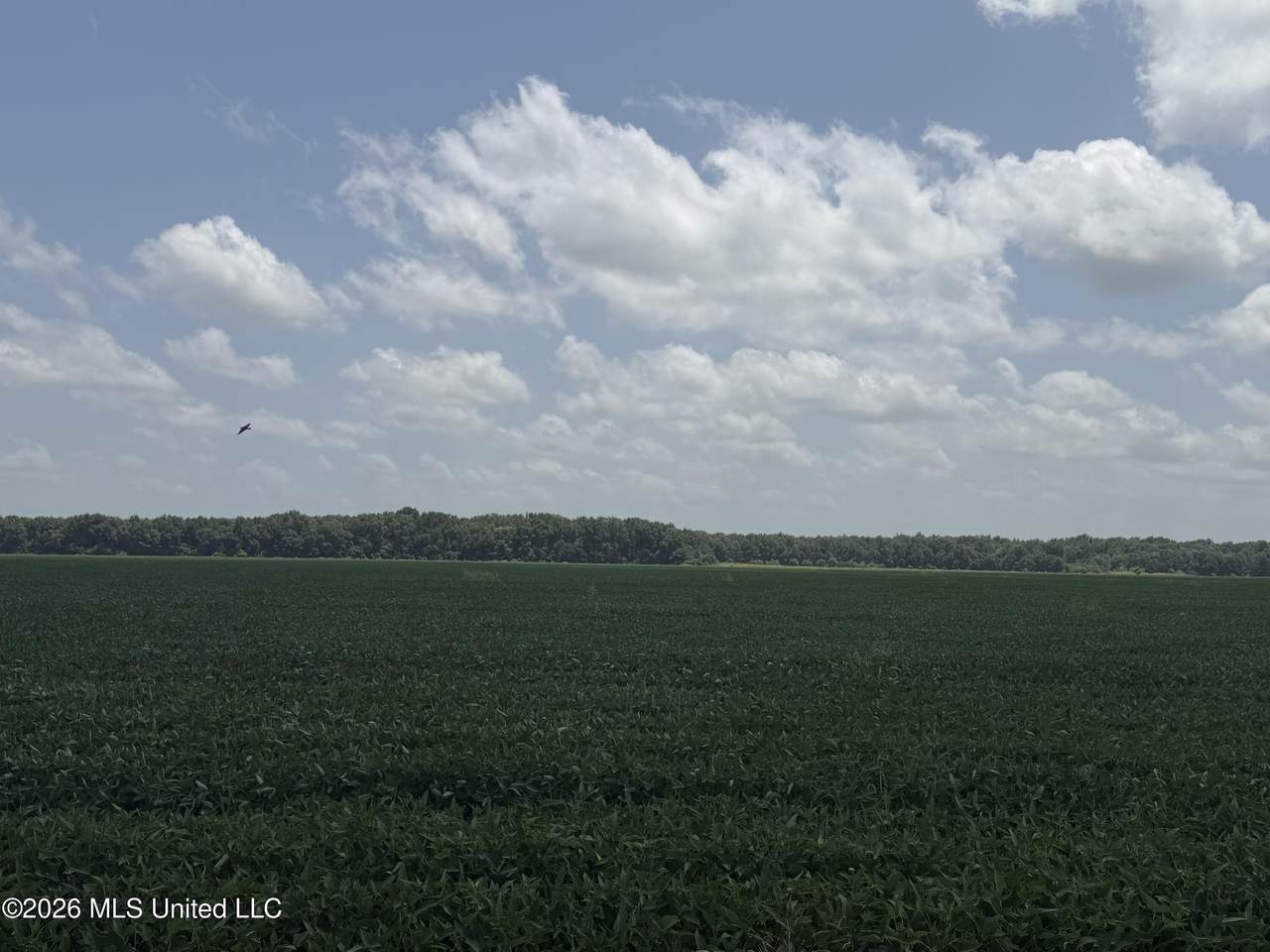 https://bt-photos.global.ssl.fastly.net/united/1280_boomver_2_4142792-2.jpg
