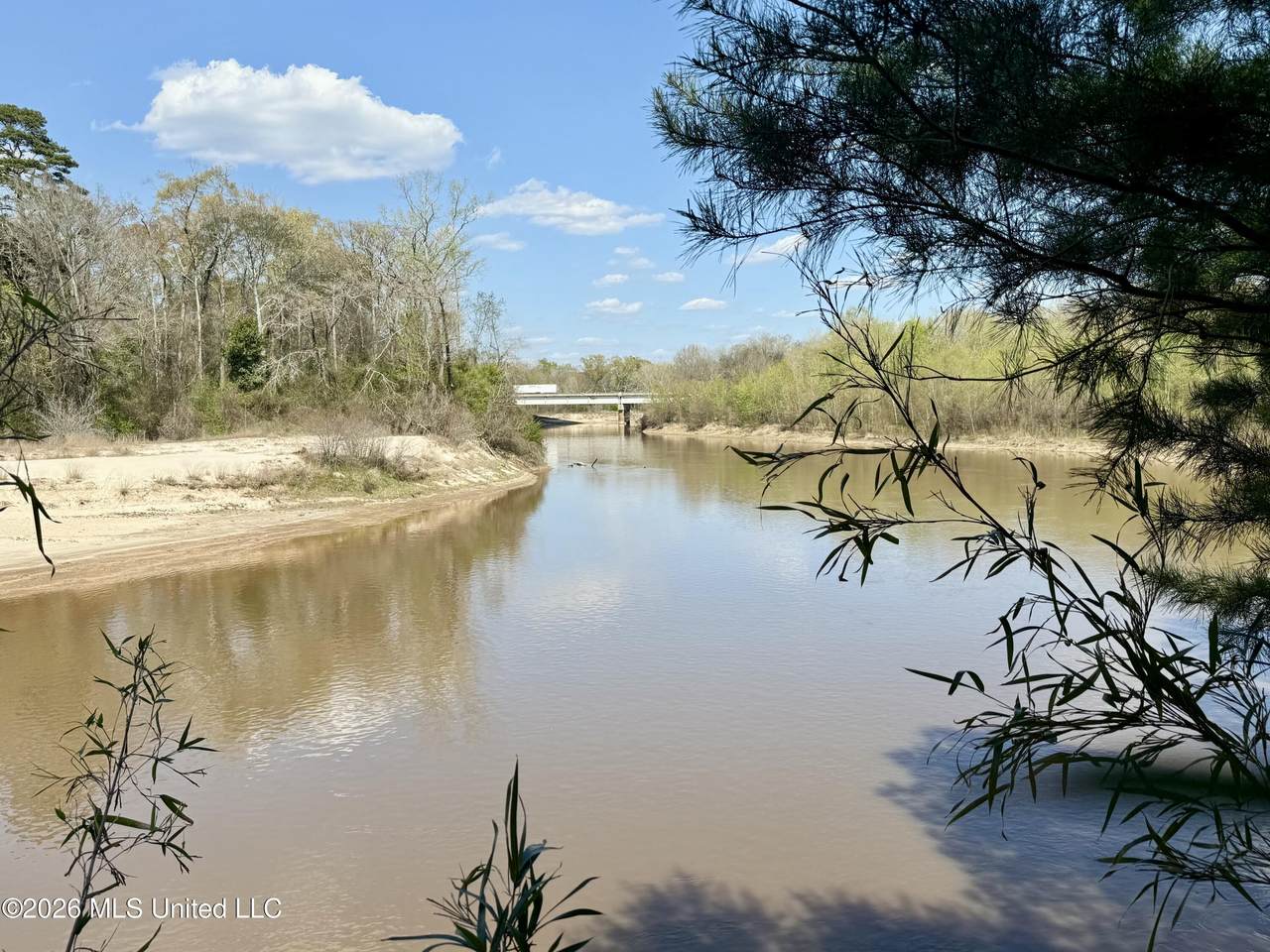  Mississippi 35 Highway - Photo 1