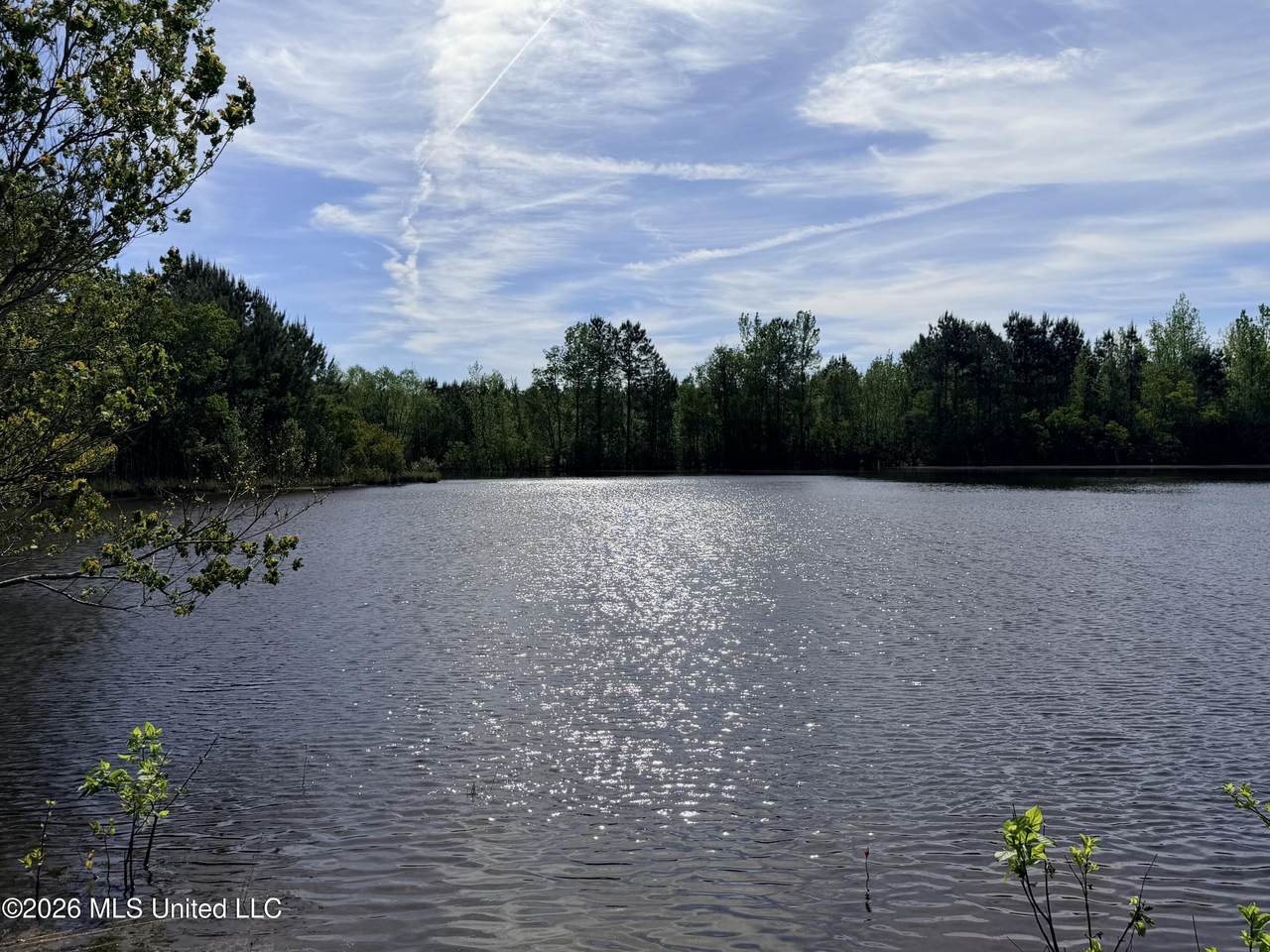  Chathaw Path - Photo 1