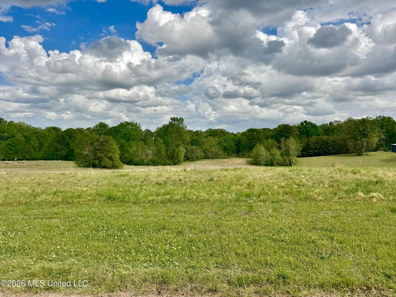 000001 Meadow Oak Lane - Photo 1