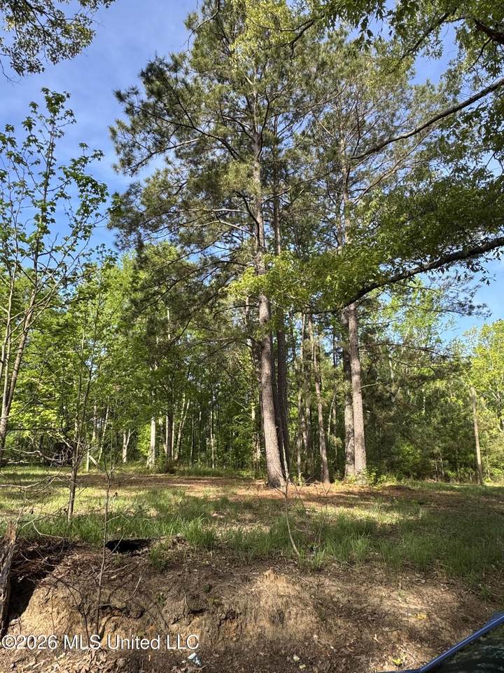 0 Stump Road - Photo 1