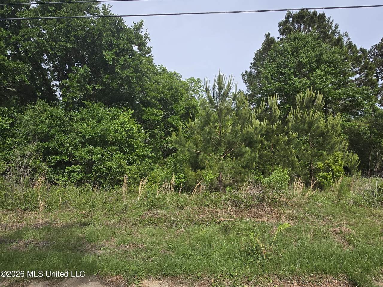 6604 April Bayou Drive - Photo 1