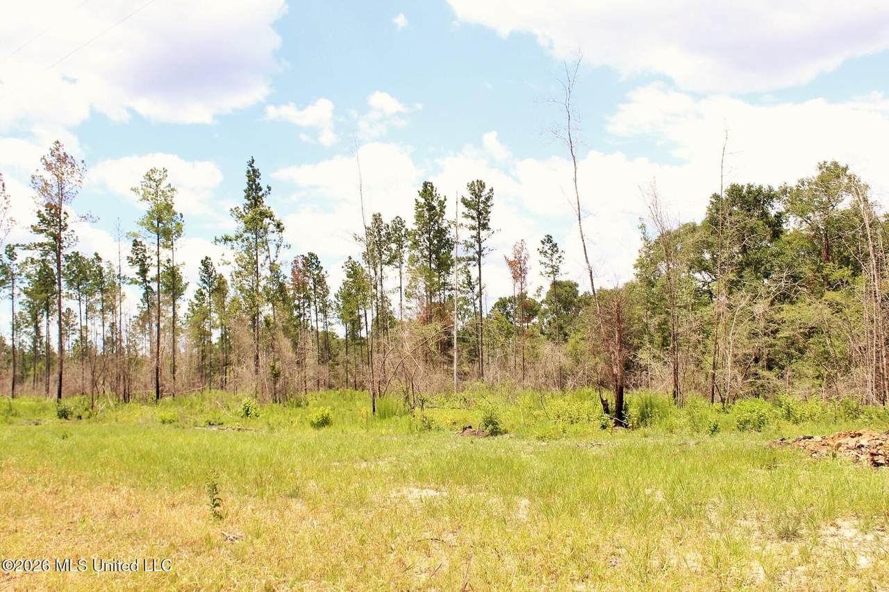 3.78ac Cottonwood Drive - Photo 1