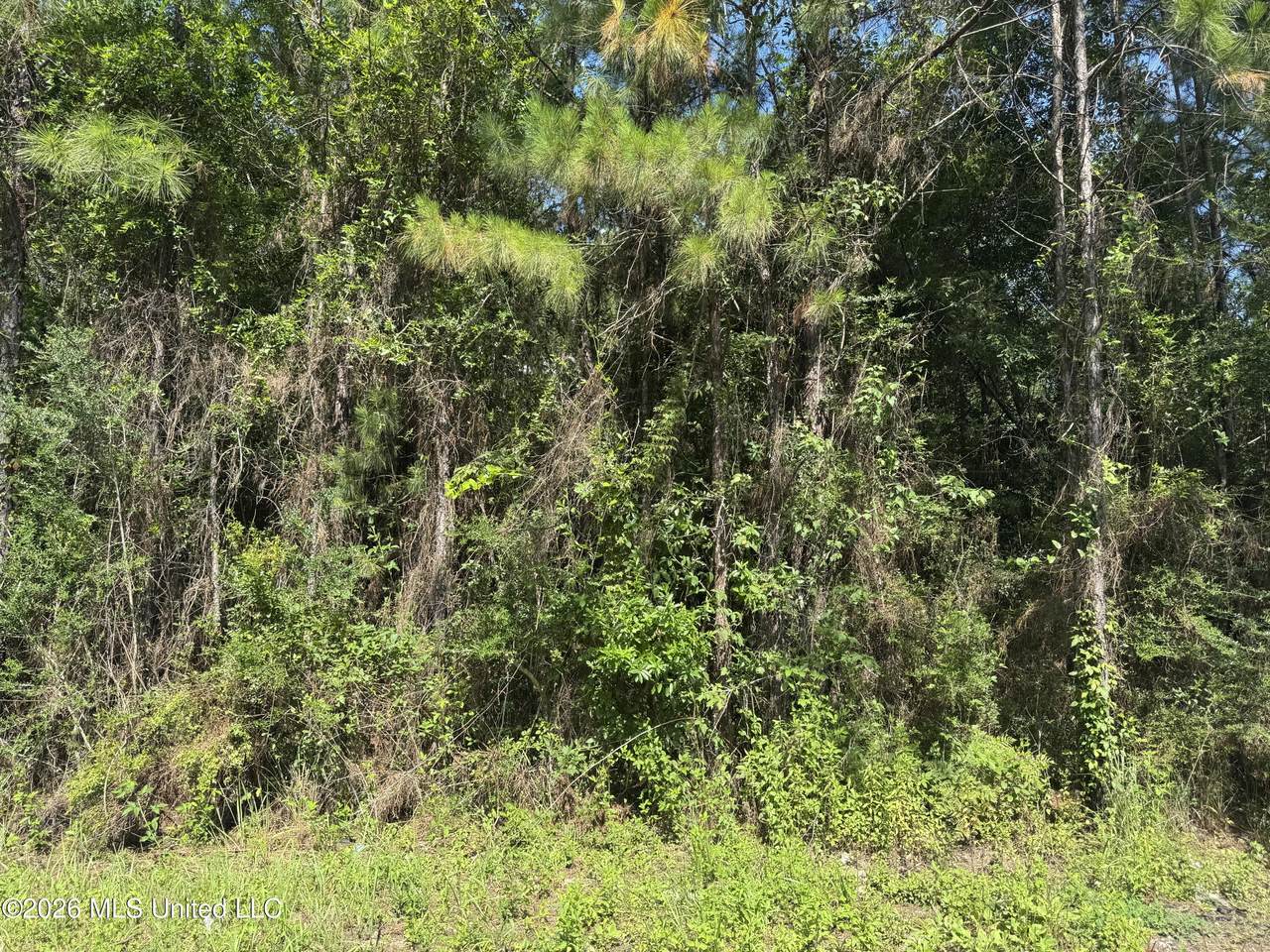 00 Schrader Court - Photo 1