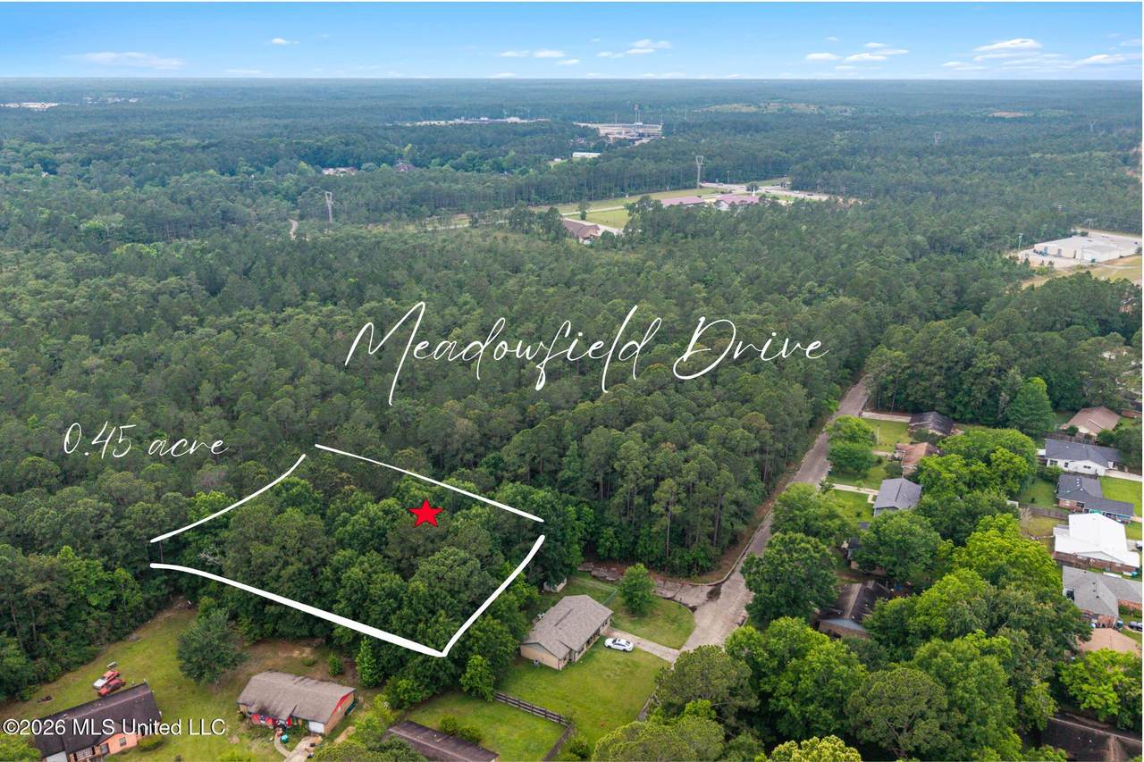 0 Meadowfield Drive - Photo 1