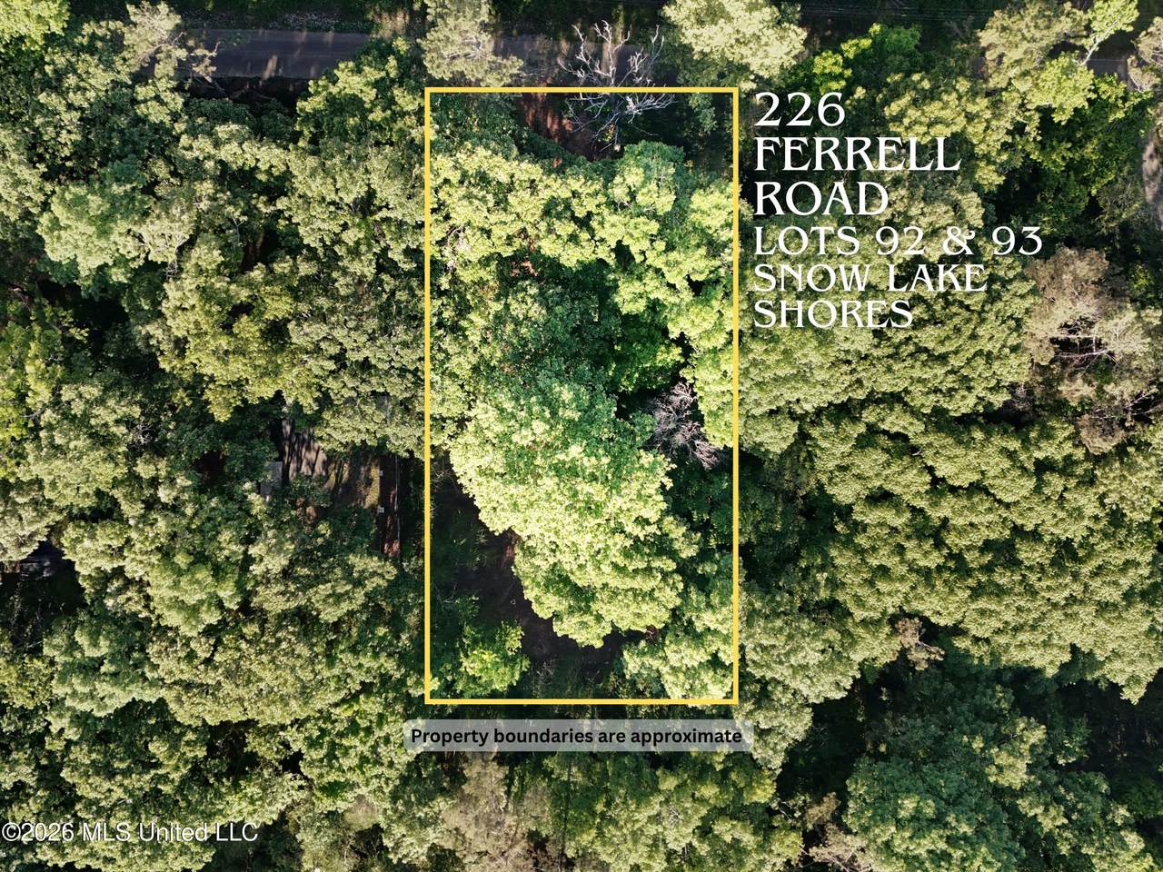 226 Ferrell Road - Photo 1