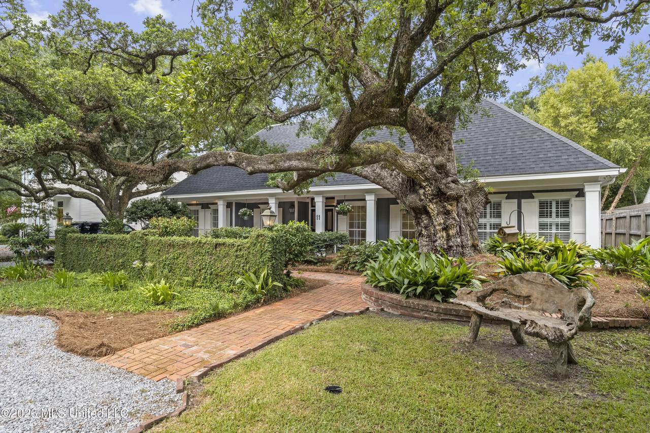 11 Japonica Drive - Photo 1