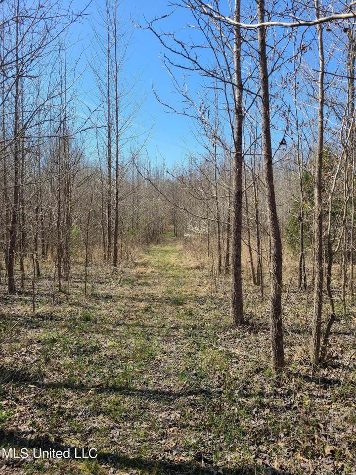 Snider Road - Photo 1