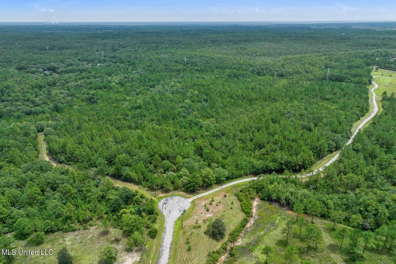Bear Ridge Road - Photo 1