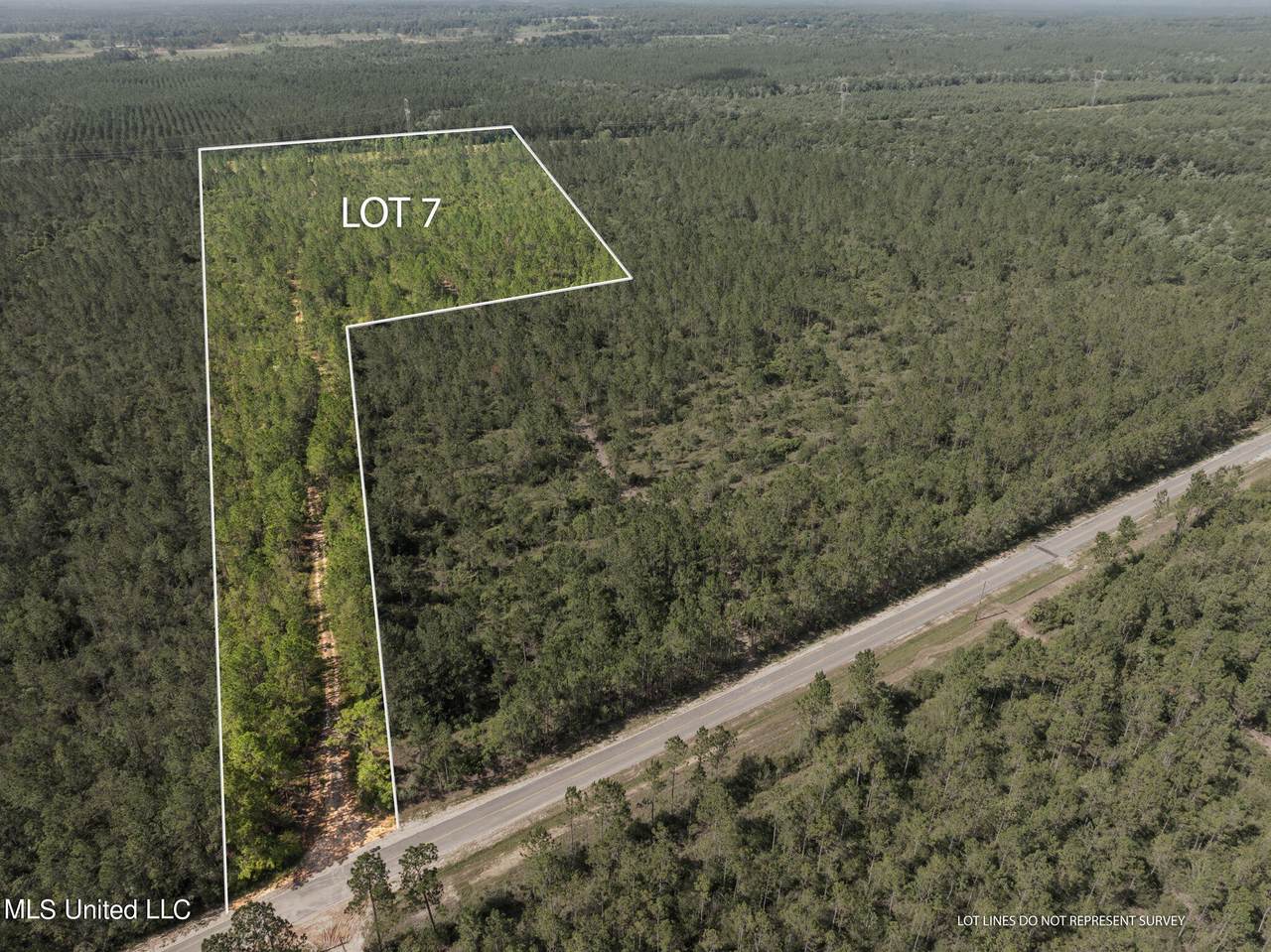 Herman Ladner Road - Photo 1
