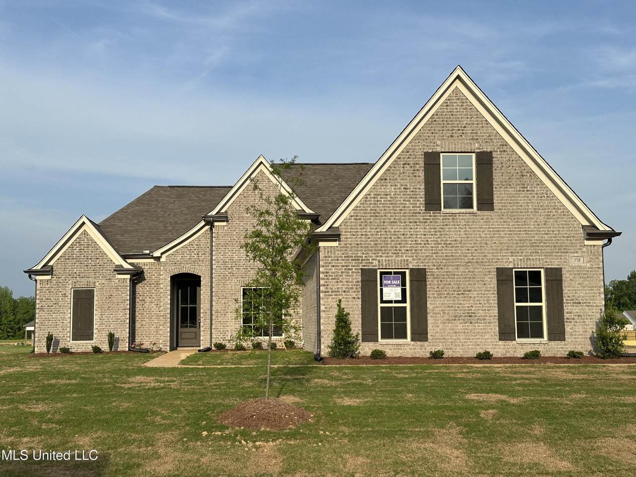 728 Lucas Lane - Photo 1