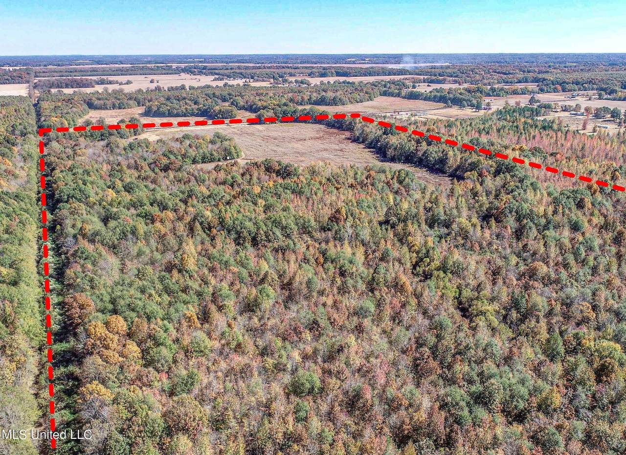 5151 Nash Road - Photo 1