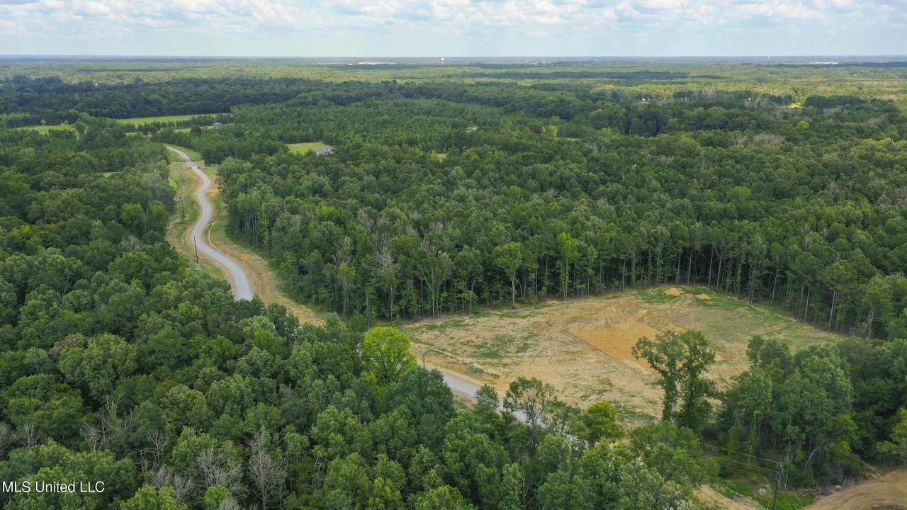  Stout Meadows Lane - Photo 1