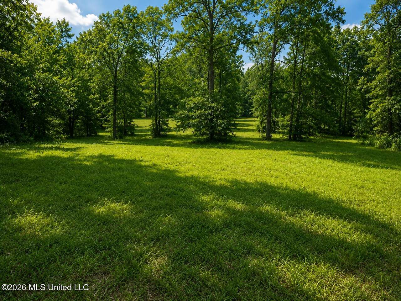  Park Place - Photo 1