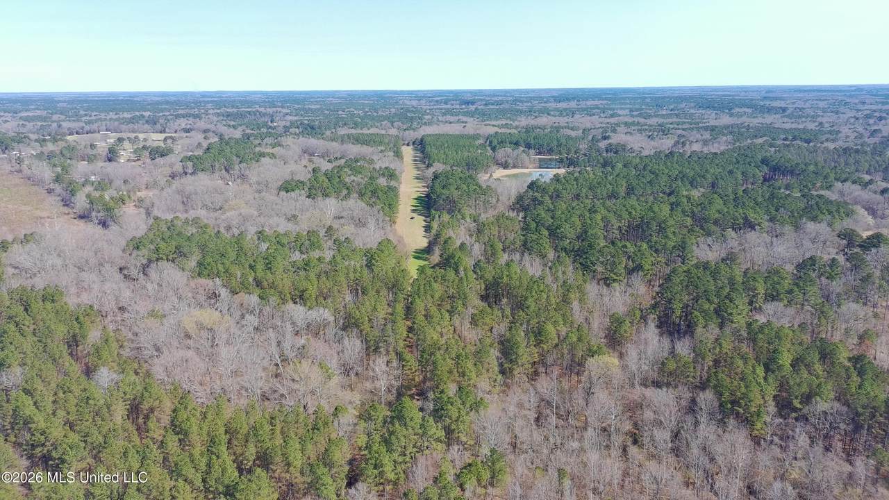  Ratliff Ferry Road - Photo 1