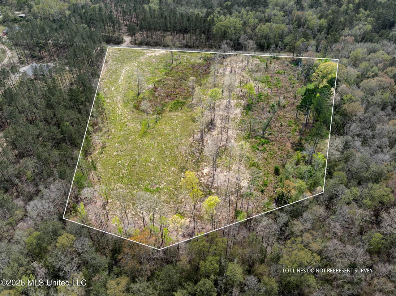 0 Scruggs Road - Photo 1