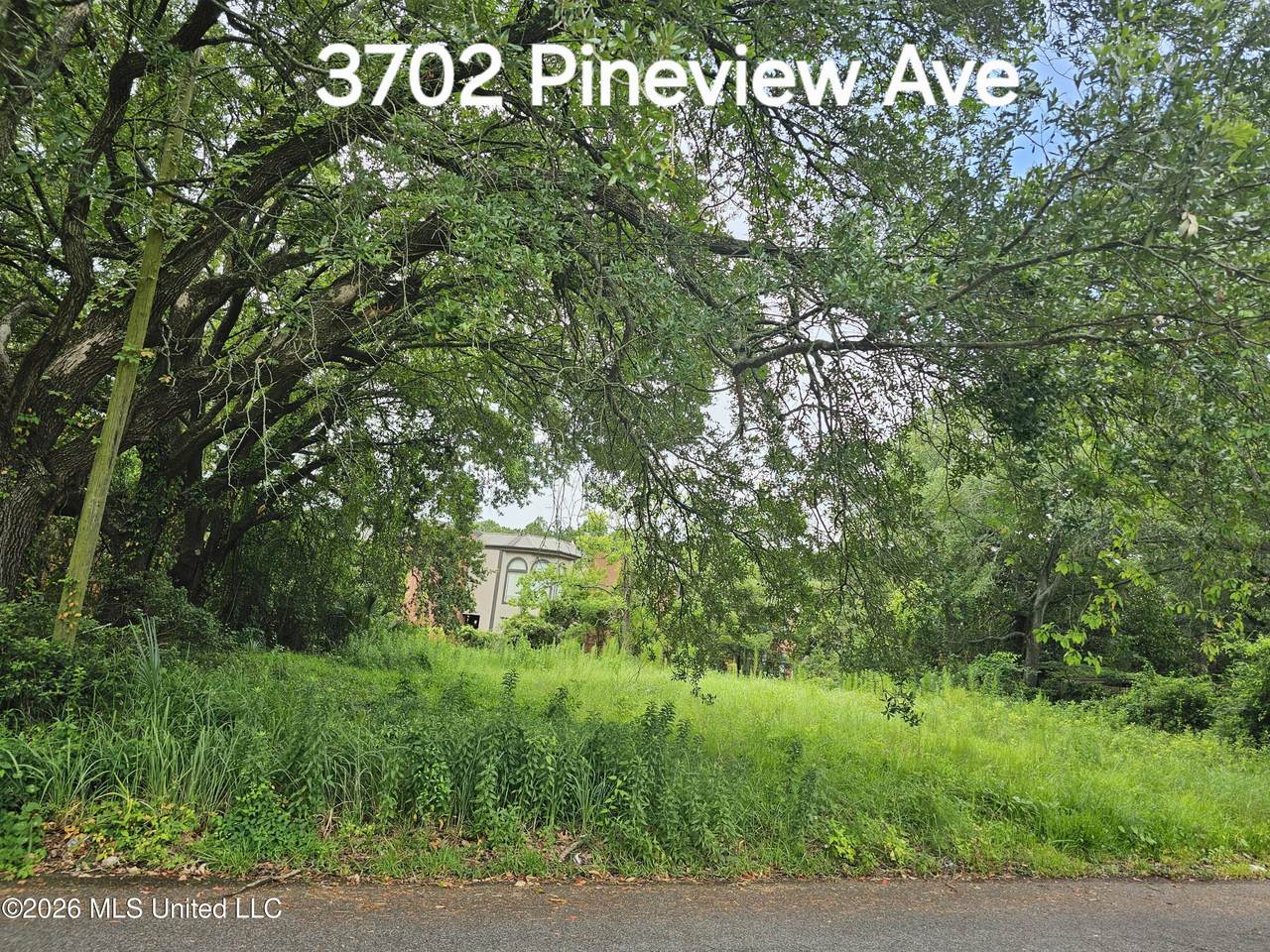 3702 Pineview Avenue - Photo 1