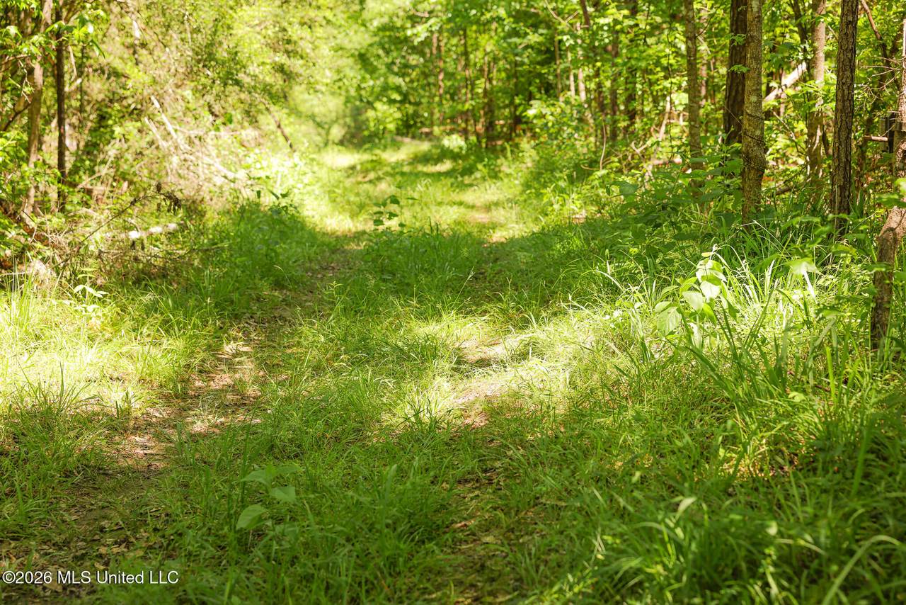 https://bt-photos.global.ssl.fastly.net/united/1280_boomver_3_143174-2.jpg