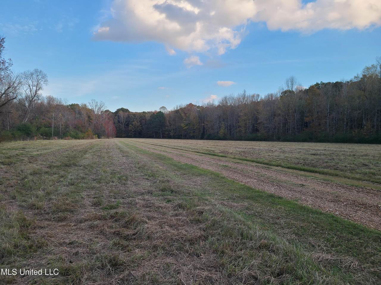 Snider Road - Photo 1