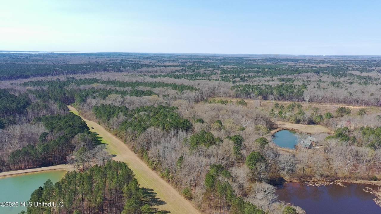 Ratliff Ferry Road - Photo 1