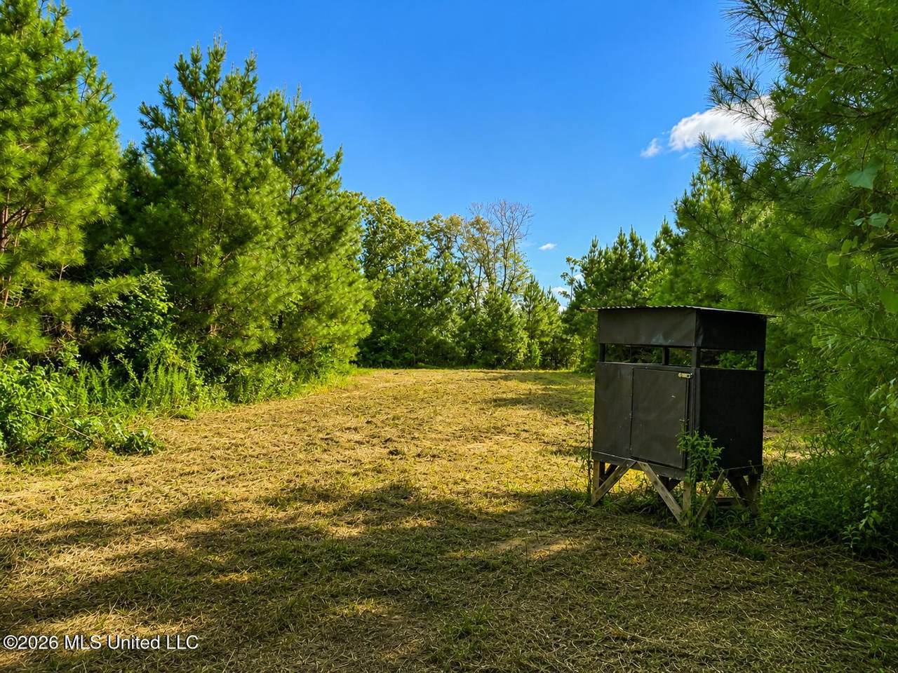 00 Auburn Drive - Photo 1