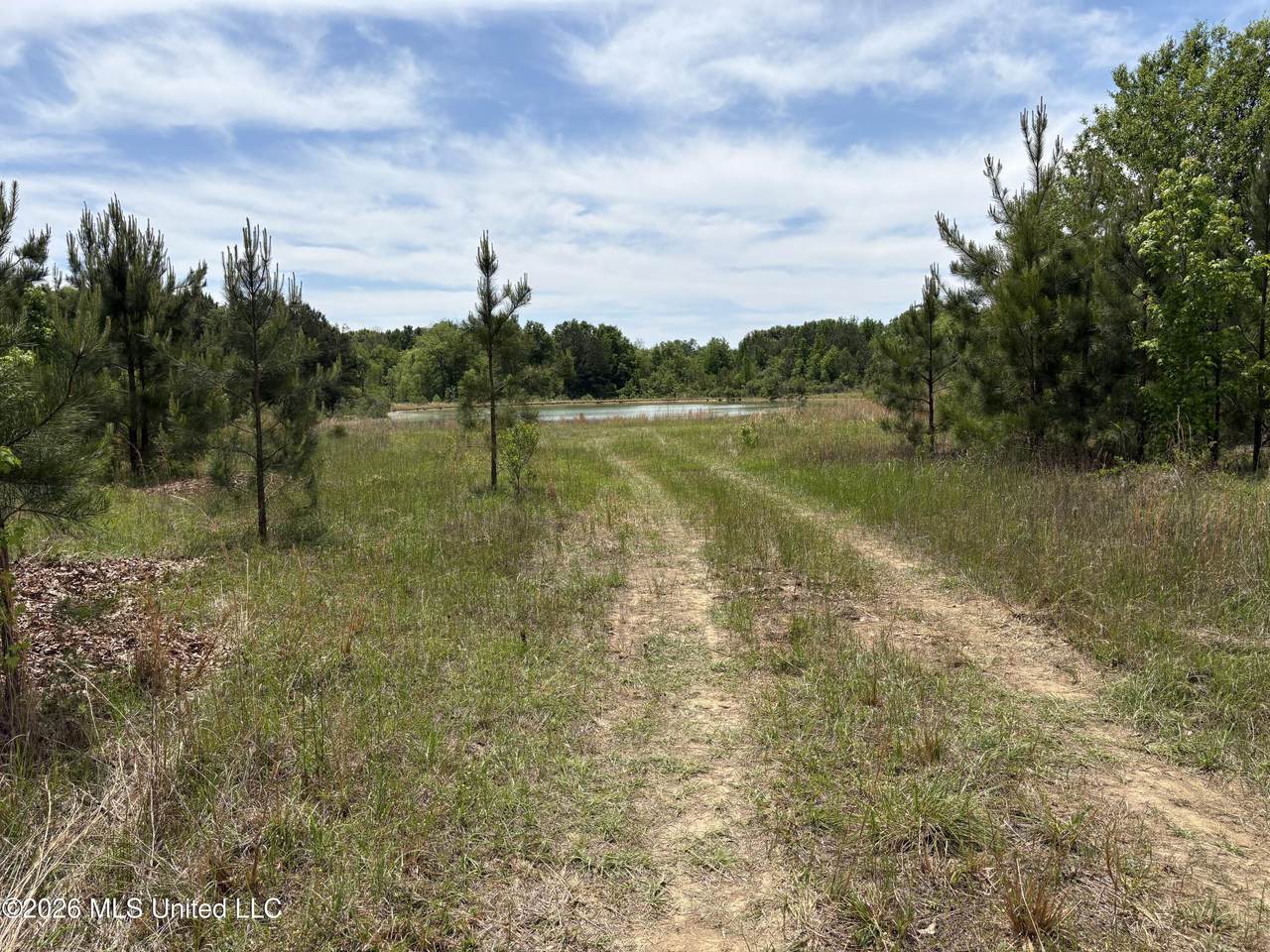  Finney Road - Photo 1