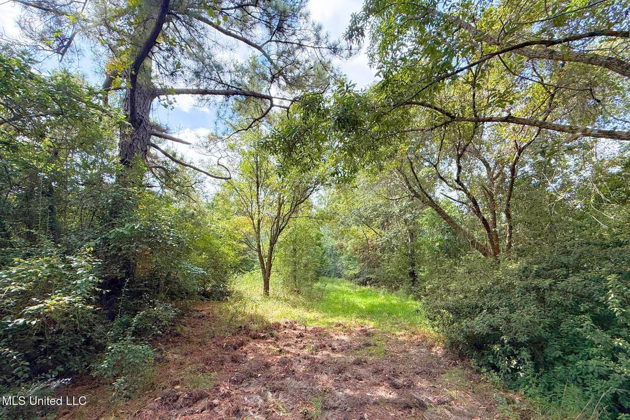 8405 Wire Road - Photo 1