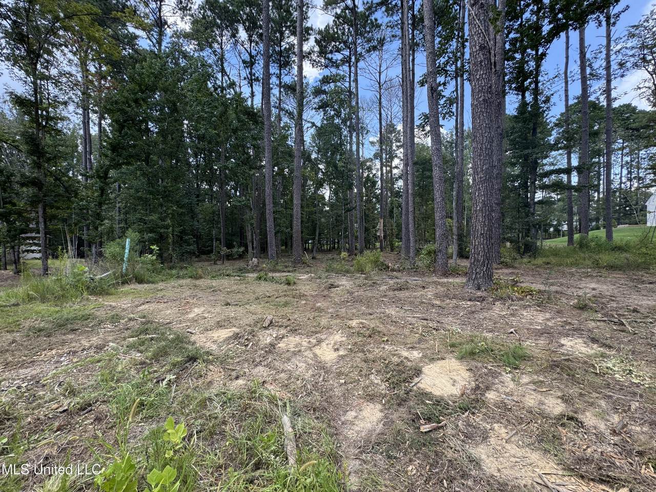 922 Brookhollow Court - Photo 1