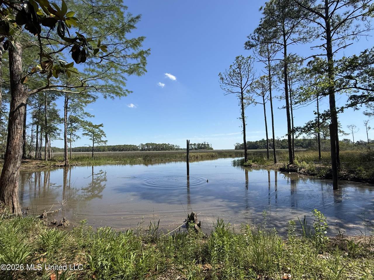 1208 De La Pointe Drive - Photo 1