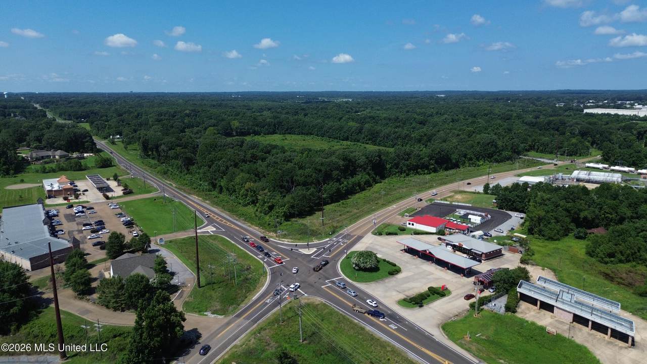 1725 Highway 51 Highway - Photo 1