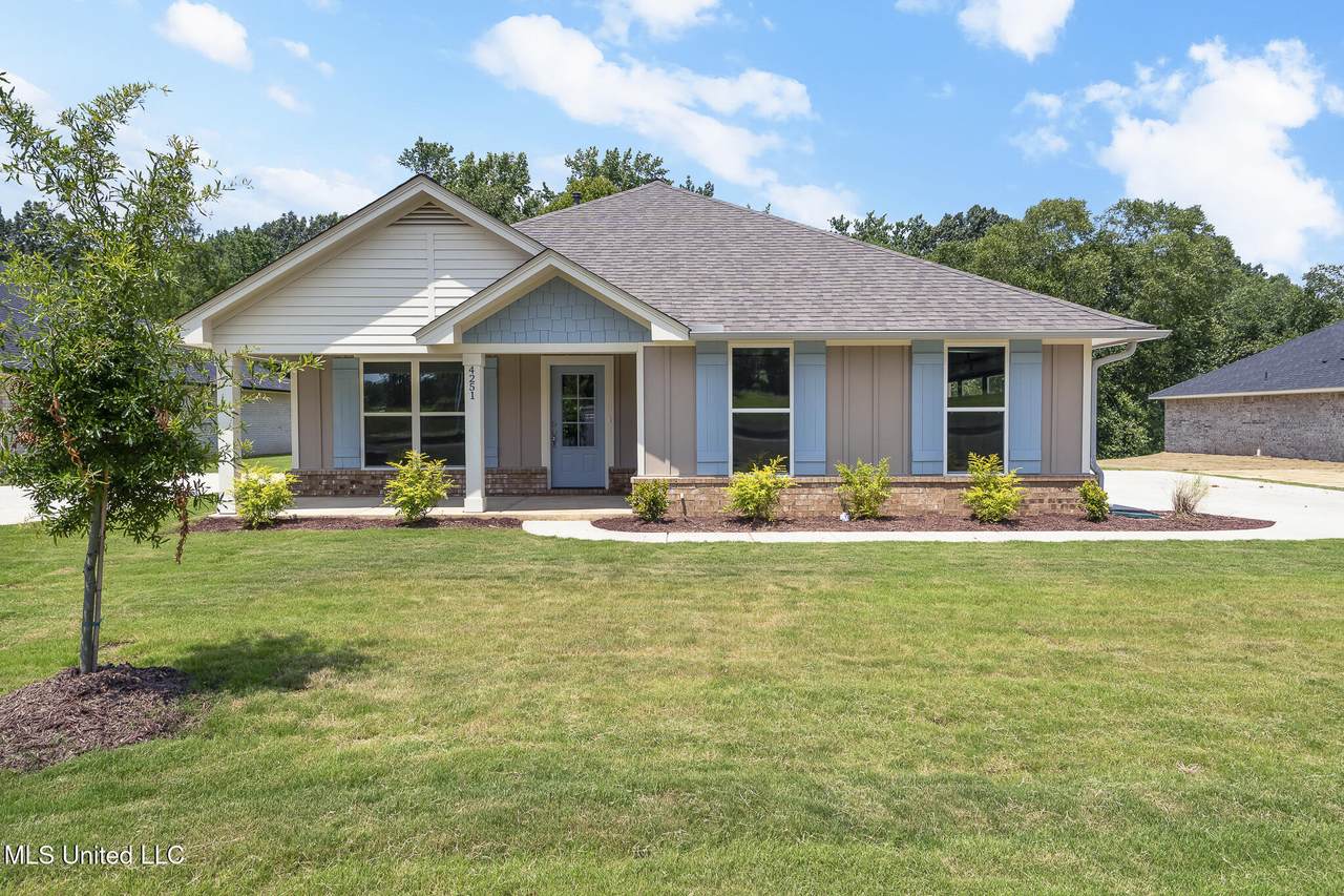 4251 Olivia Circle - Photo 1