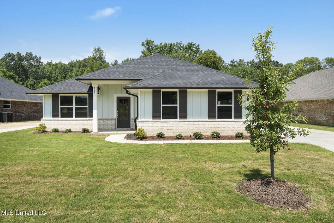 4243 Olivia Circle - Photo 1