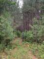 . Fergson Rd/Barber Rd/Crooked Creek Road - Photo 12