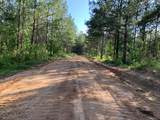 . Givens Mullins Road - Photo 14
