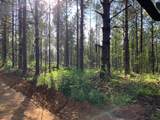 . Givens Mullins Road - Photo 15