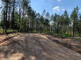 . Givens Mullins Road - Photo 16