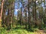 . Givens Mullins Road - Photo 5