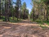. Givens Mullins Road - Photo 8