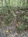 0 Graves Road - Photo 35